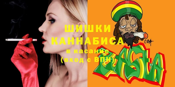 тгк Дмитровск