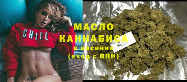 тгк Дмитровск