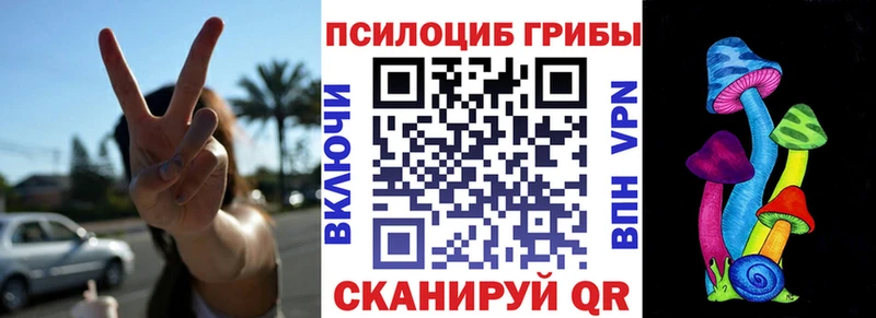 OMG ССЫЛКА  Железногорск-Илимский  Псилоцибиновые грибы прущие грибы 